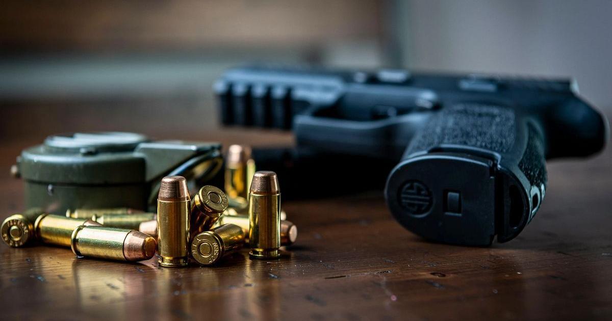 Lawmaker pushing bill to study insurance for gun owners