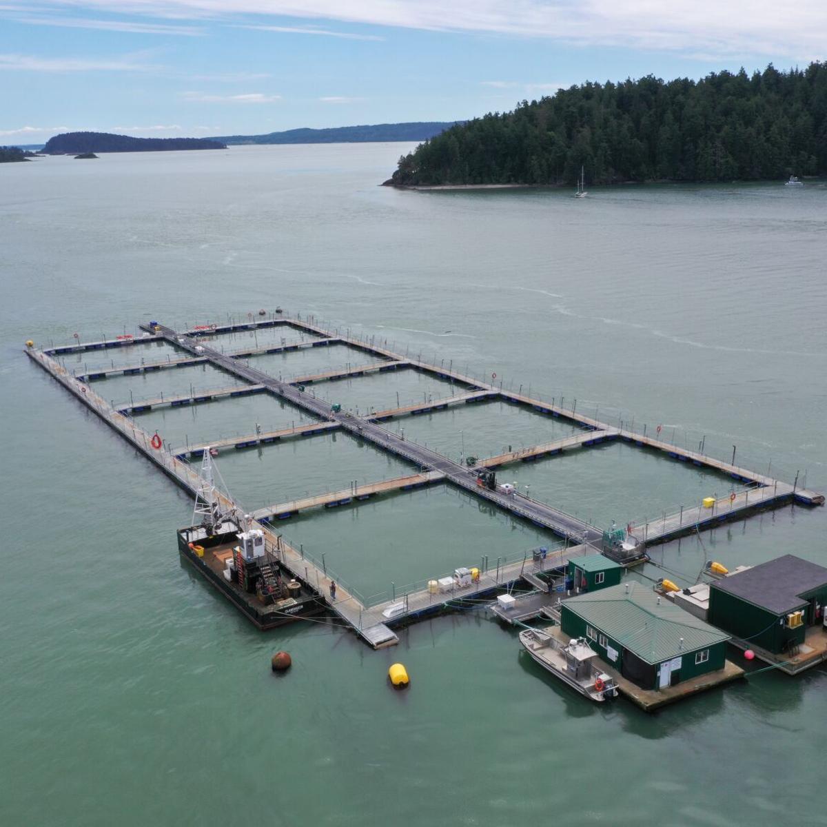 Ignoring science': Suit targets Washington fish farming ban, seeks