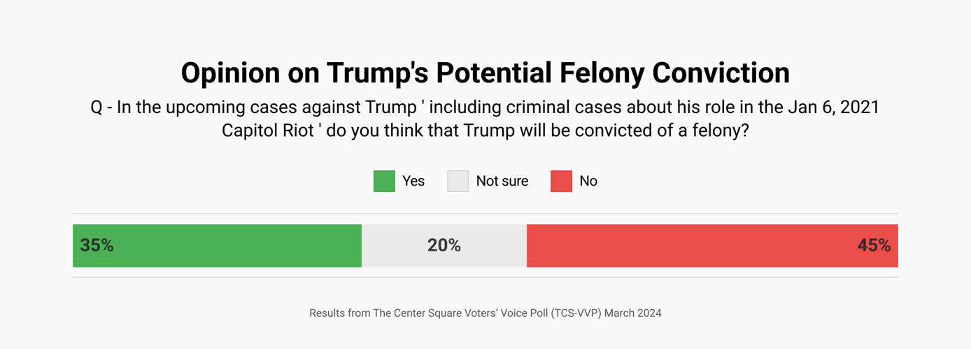 TCS - March 2024 poll - Trump felony conviction