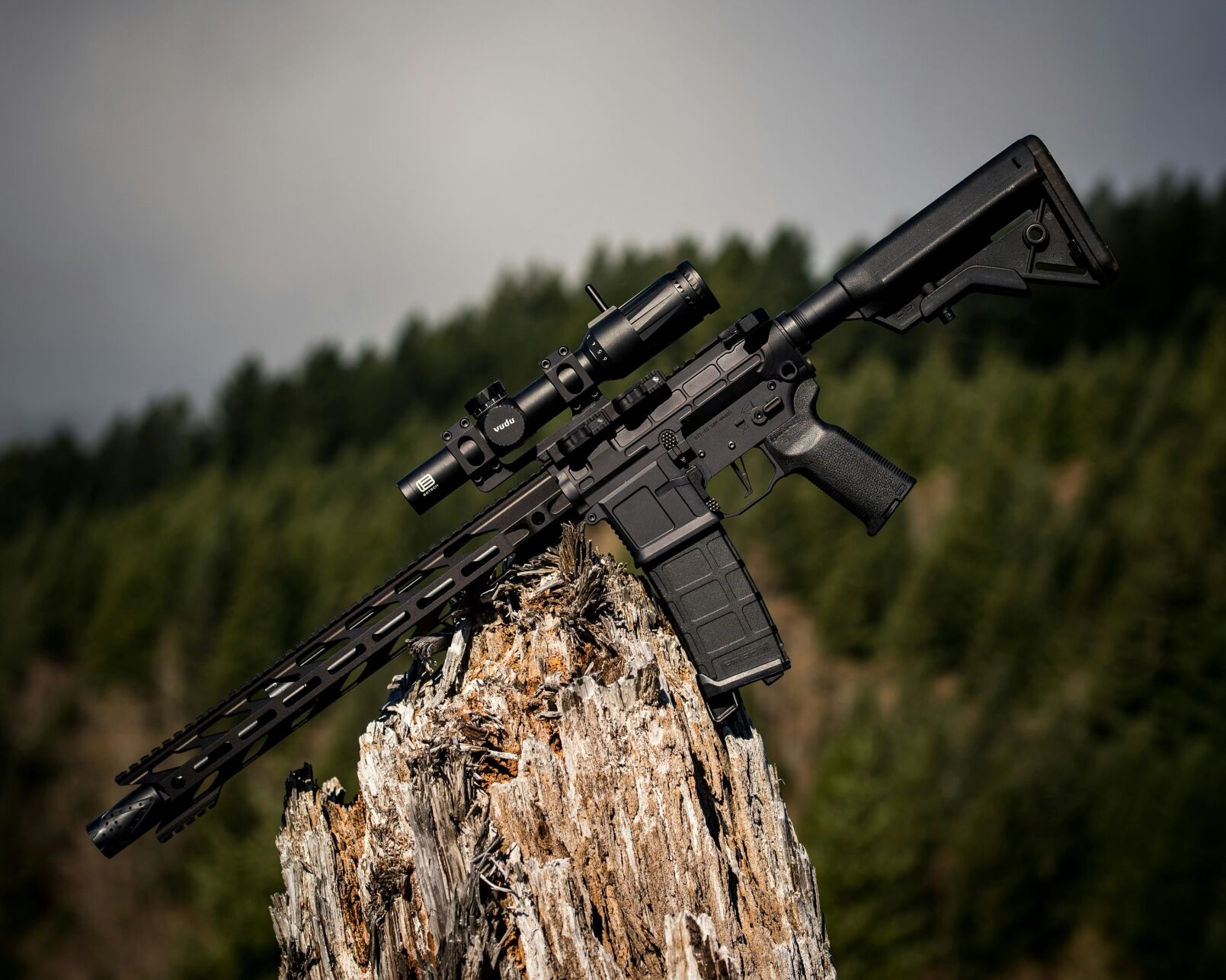 Texas DACA recipient sentenced for firearm straw purchase scheme running guns to Mexico
