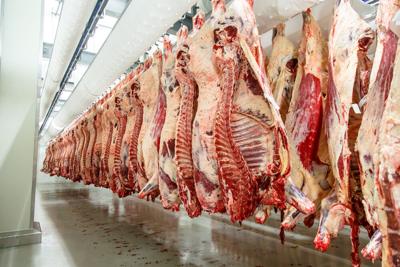 Meat processing plant beef