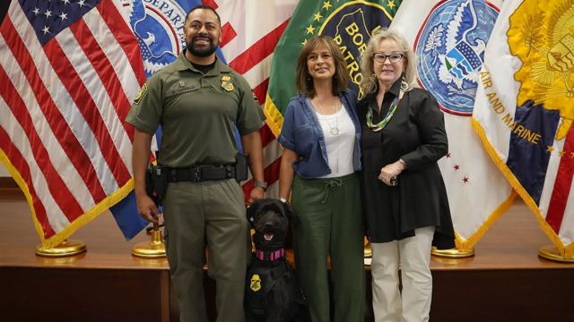 From rescue to recovery, a rescued Schnauzer Poodle makes Border Patrol history in Texas