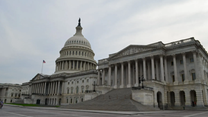 Lawmakers, auditors offer fraud prevention solutions