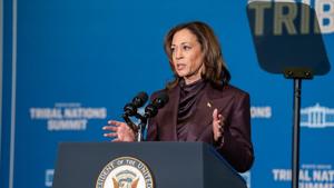 Support broadens beyond Harris, Newsom in Democratic primary poll