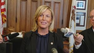 Illinois 103rd General Assembly: Tax reform? Legalized mushrooms? GOP input?