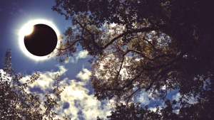 Southern Illinois prepares for April’s total solar eclipse
