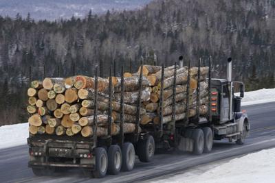 FILE - Maine Logging
