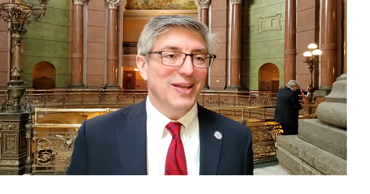 Illinois state Rep. Dan Ugaste, RGeneva, is critical of continued