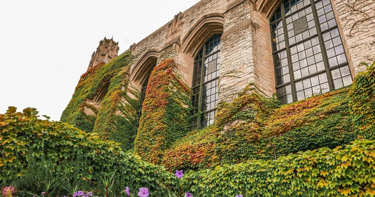 Florida officials warn BayCare over Northwestern ties amid antisemitism concerns