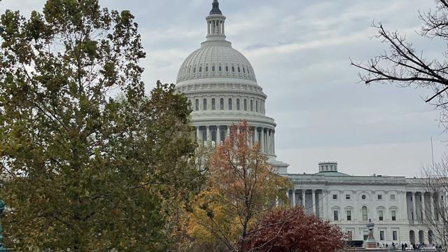 Polls show some Republican voters plan to vote for Democrats