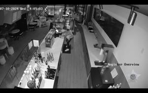 As retail theft crime surges, more Chicago consumers turn to online shopping