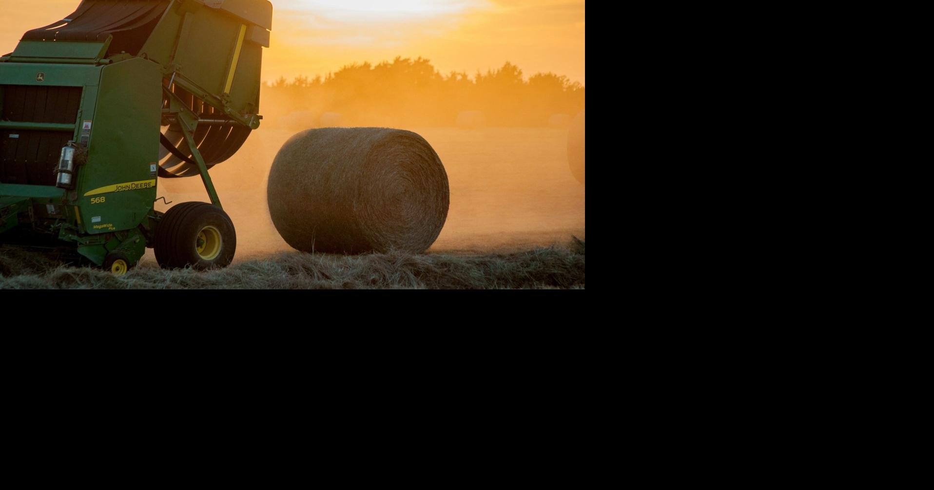 Report: WA lost more than 3,700 farms in 5 years; lawmaker blames regulations