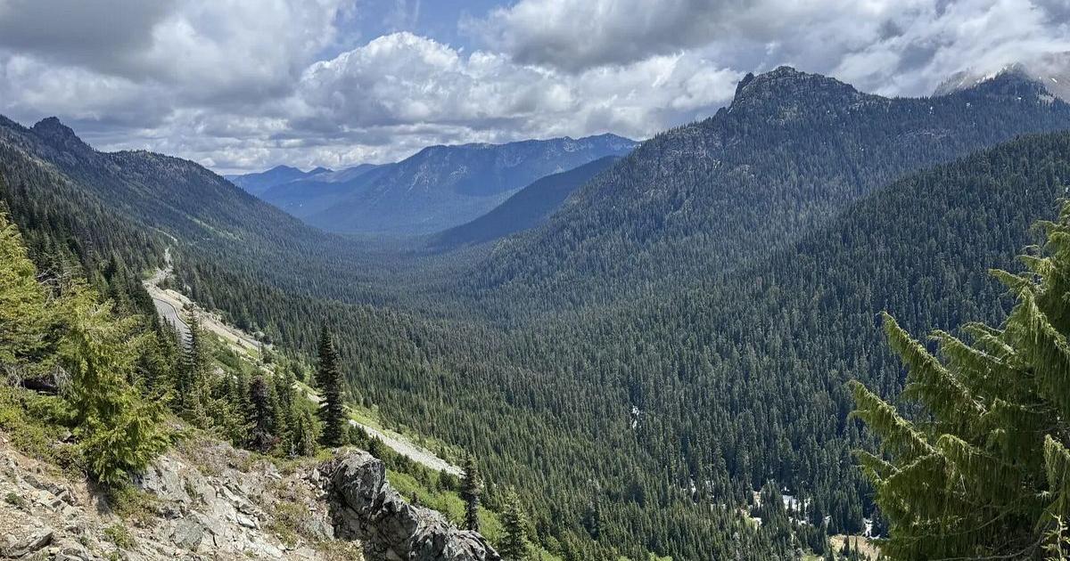 Washington state close to meeting wolf delisting criteria with no clear path ahead