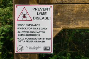 Illinois quick hits: Lyme disease warning; family still missing; fake money circulating