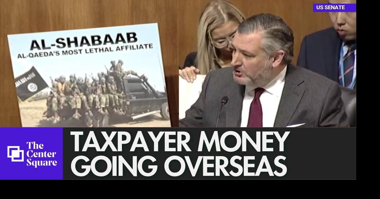 WATCH: Senators slam fraud, call for welfare scrutiny in Minnesota