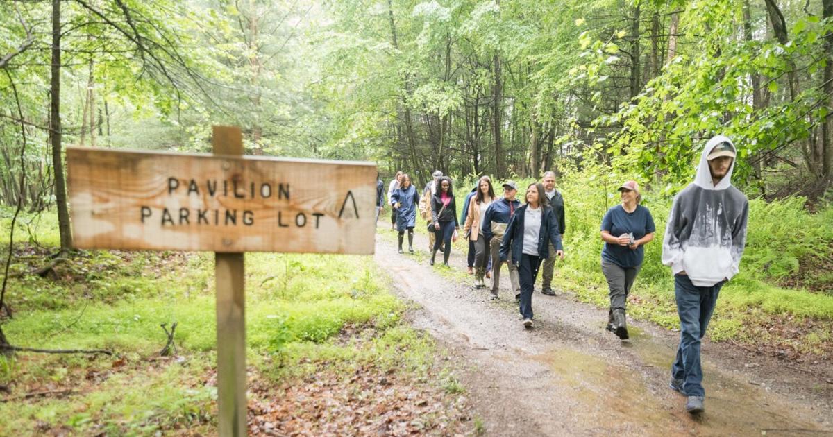 Students with disabilities get to work in state summer initiative