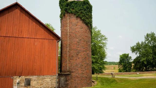 Fetterman, McCormick push research into spotted lantern fly farm damage