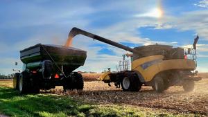 Corn growers join lawsuit against EPA for emissions mandates
