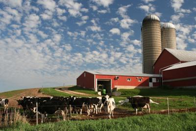 FILE - Wisconsin dairy farm