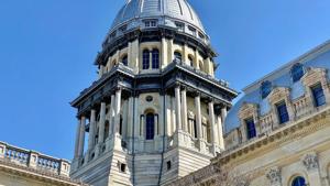 Fiscal Fallout: Illinois diversity commission's budget ballooning but results lag