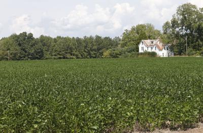 Virginia farm
