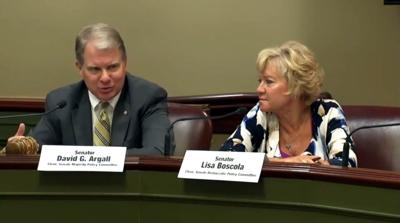 FILE - David Argall, Lisa Boscola 6-17-2019