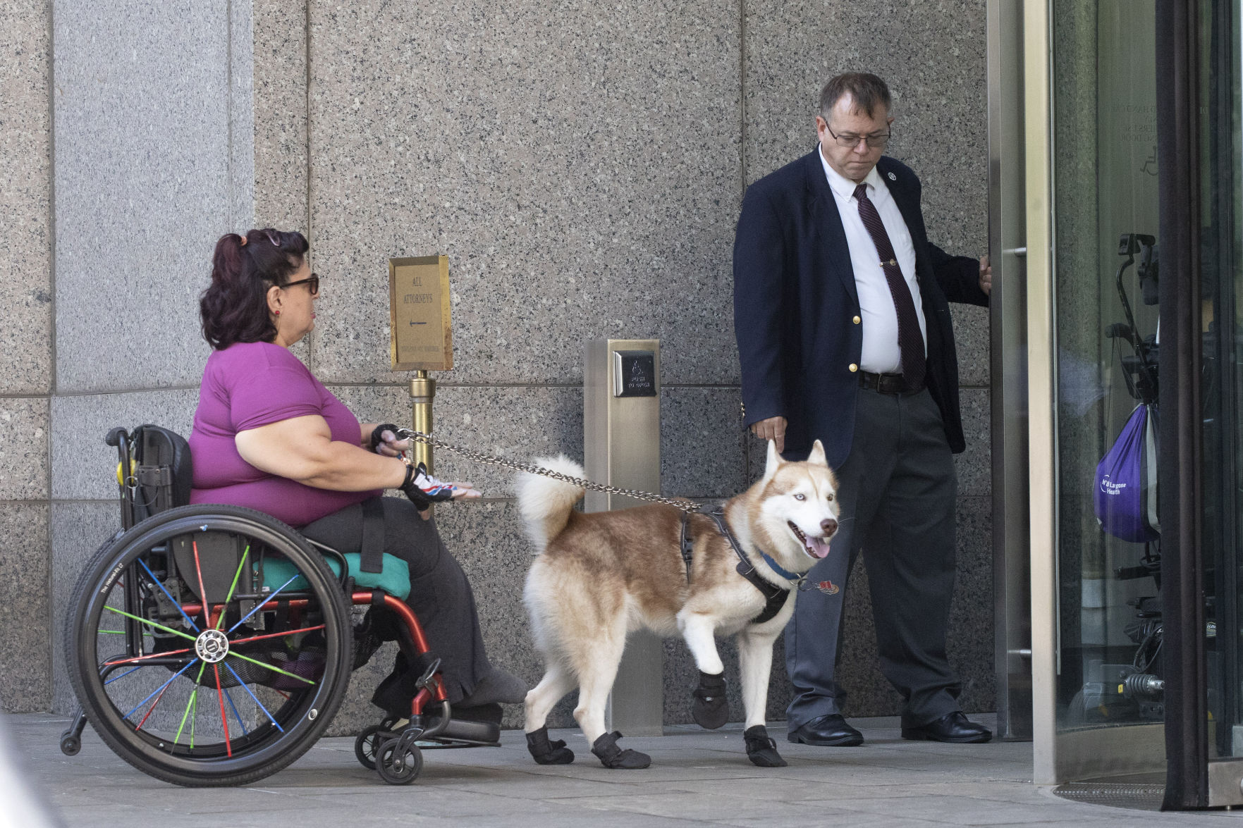 Akita as best sale a service dog