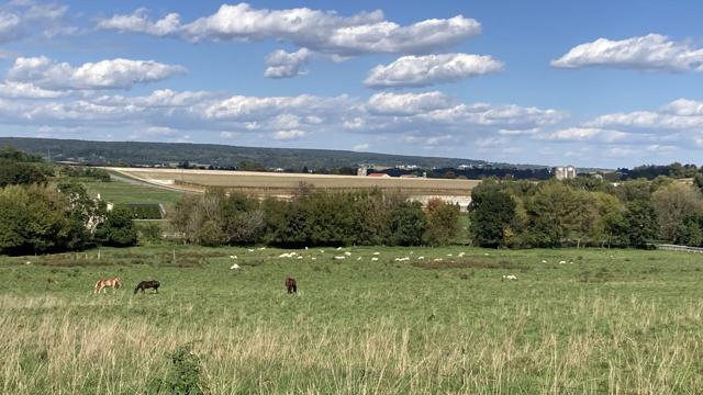 Some Amish recall COVID dictates and question government on measles