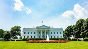 America 250: Celebrating presidential pets