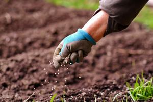 USDA unveils a $500 million stimulus program for domestic fertilizer production