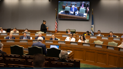 FNF -  - Louisiana House committee