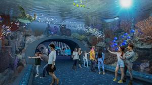 Shedd Aquarium's $500 million redesign underway in Chicago