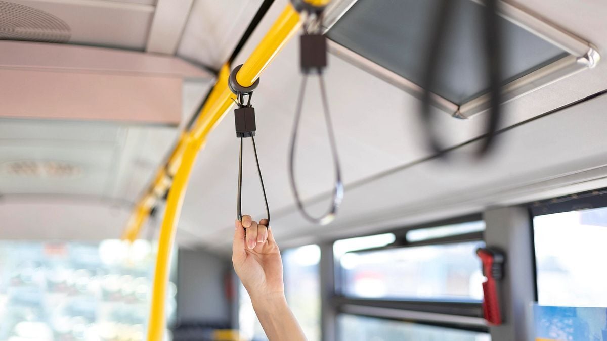 New transit board approves reduced fare pilots - Illinois