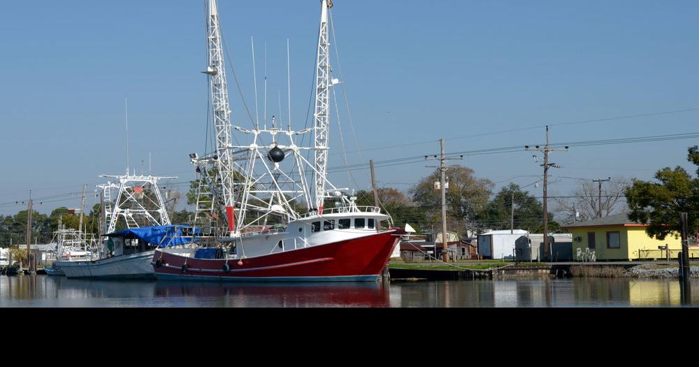 Double whammy: Louisiana shrimpers face high diesel prices, cheap imports