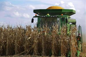 New study outlines options to incentivize farmers to use less nitrogen