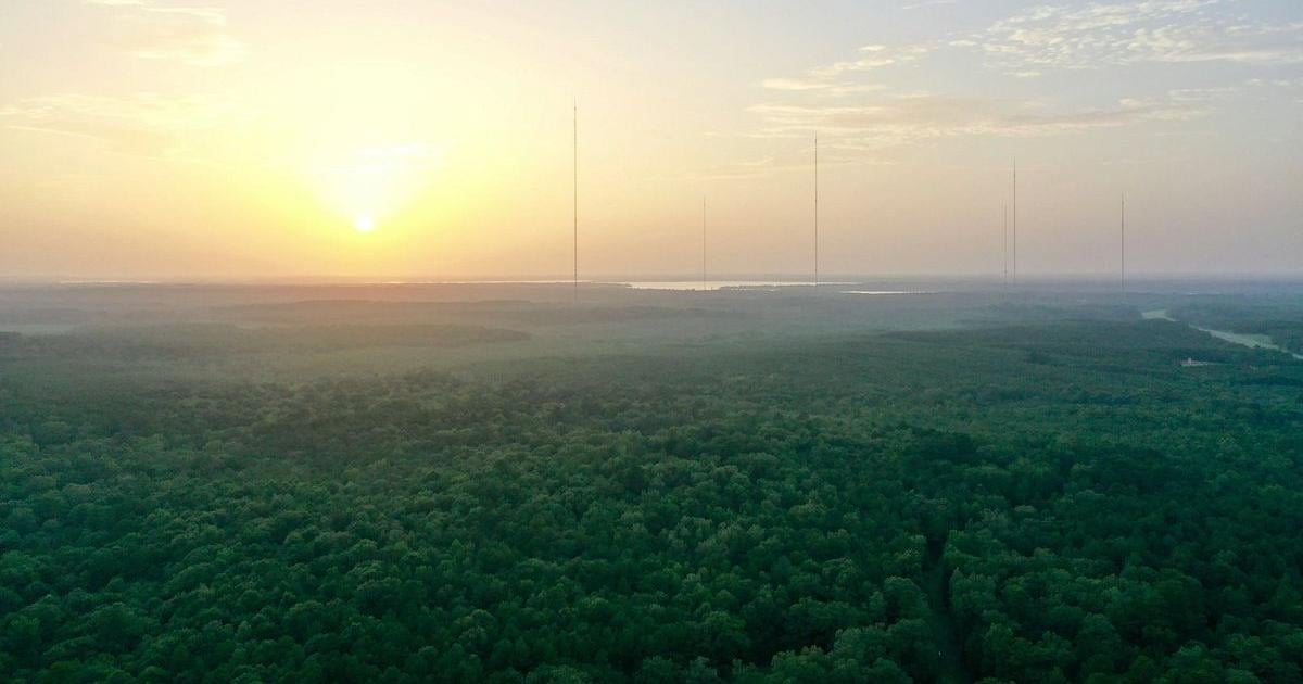 Dove baiting drives 141 citations on Louisiana season opener