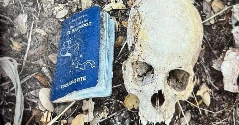 Texas sheriff proposes bipartisan solution to border issue