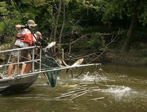 Record number of invasive carp harvested from Illinois River