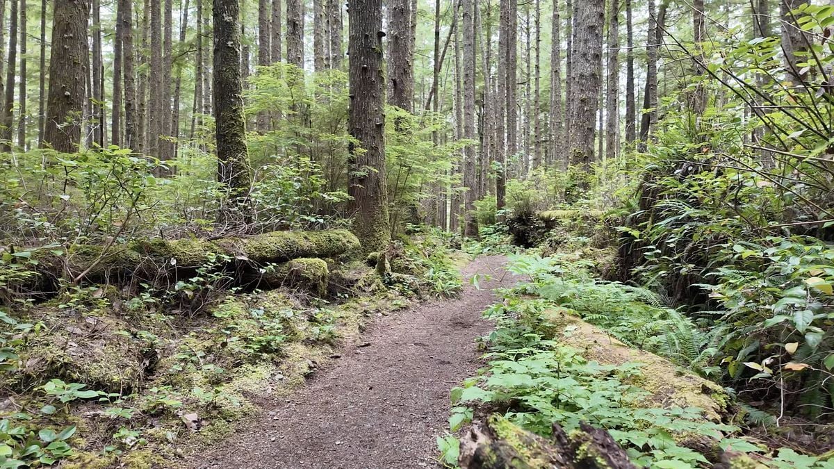 Spokane proposes ‘temporary’ utility tax hike to increase total rate to 21.5%