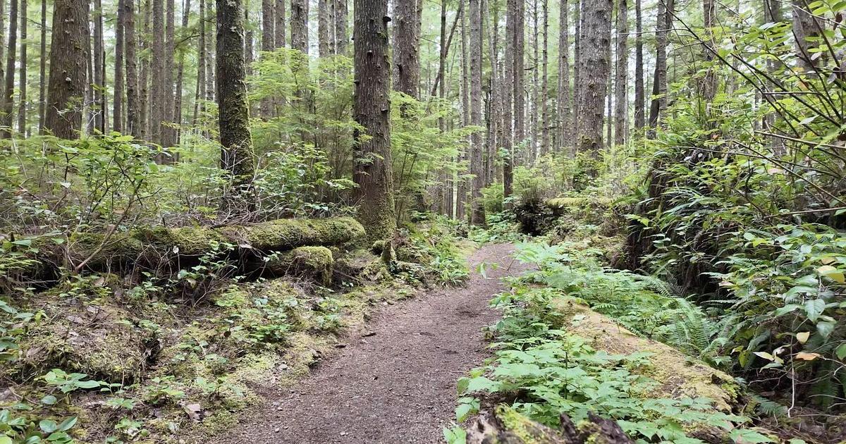 New park fee for foreign tourists could generate hundreds of millions