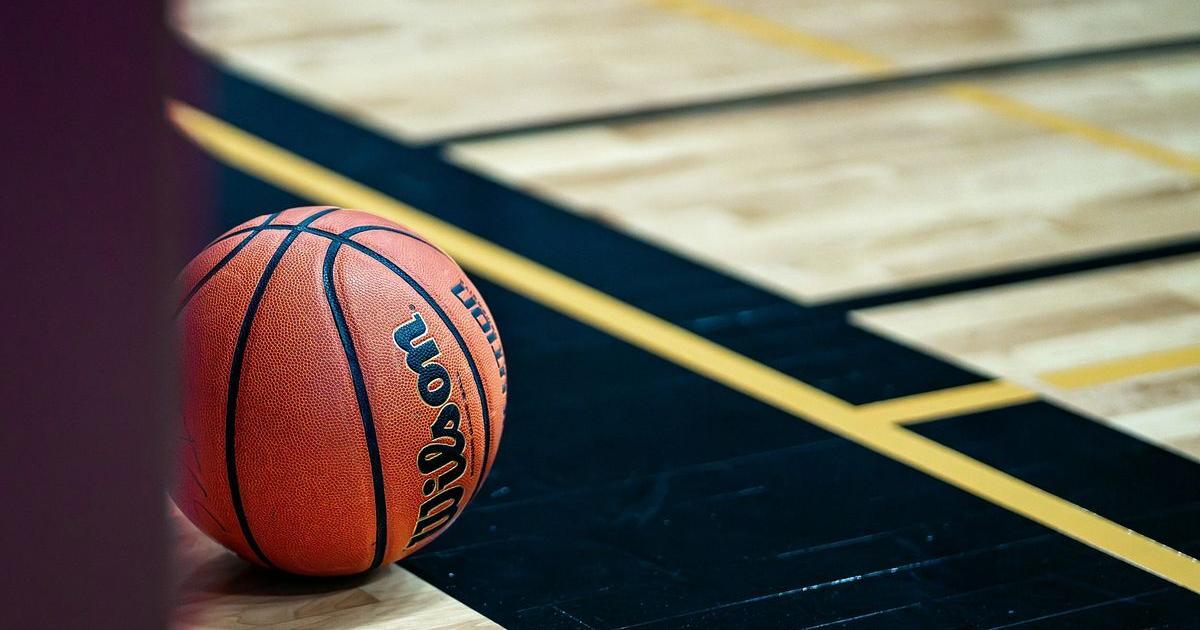 Ex-NBA player Freedom sues Chicago Sky for removal, ban at Wintrust Arena