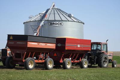 Grain Harvest South Dakota