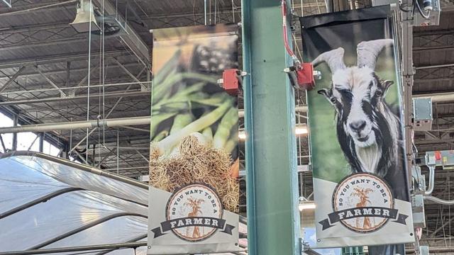 Op-Ed: Union vs. goats, a case study for why members should question union leadership