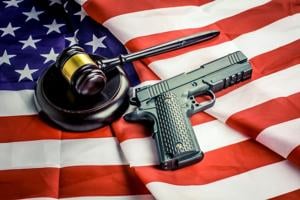 Illinois House Gun Violence Prevention Committee gears up