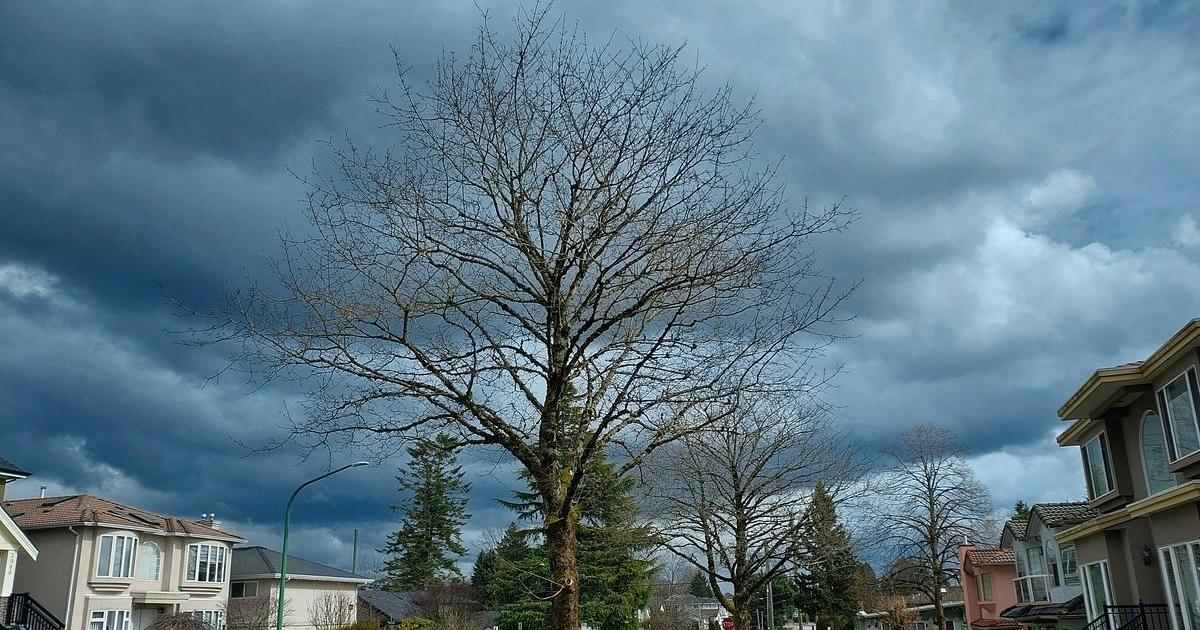 Illinois quick hits: Tornadoes hit Illinois cities, damage reported