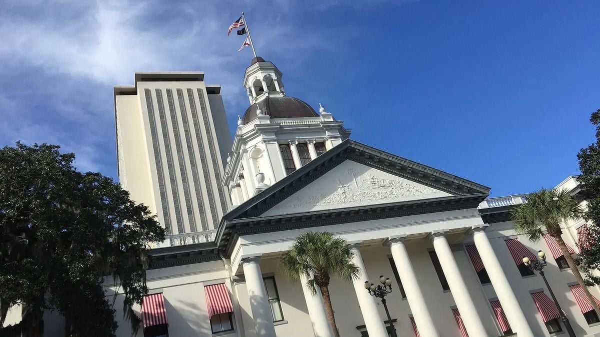 thecentersquare.com - Merrilee Gasser | The Center Square contributor - Florida's new laws target health care for people and pets