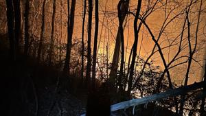 Carolinas wildfires compounded by downed trees from Helene