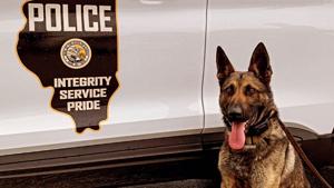 Illinois quick hits: K9 vest donated; The Doobie Brothers to perform at State Fair