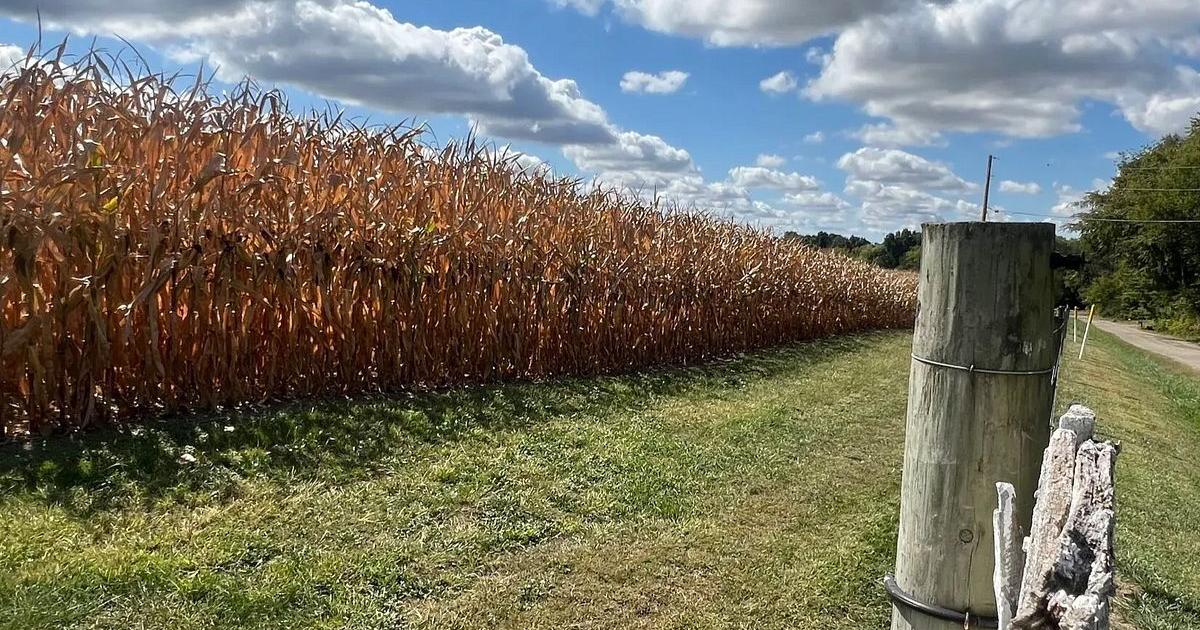 Wisconsin continues to suffer widespread drought