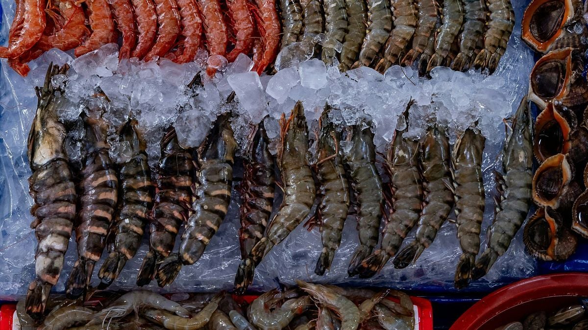 thecentersquare.com - Nolan Mckendry - House Farm Bill includes new seafood office, shrimp trade study